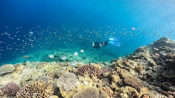 沖縄で大会を行うことで世界中の人々にこの海の素晴らしさを伝えられるはず