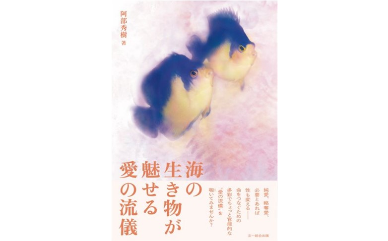 水中写真家 阿部秀樹さんの新著『海の生き物が魅せる　愛の流儀』発売