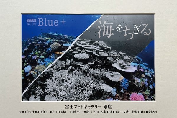 水中写真家・鍵井靖章さん主宰の写真展「Blue＋」開催