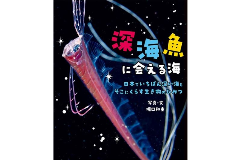 水中カメラマン堀口和重さんの新写真絵本『深海魚に会える海』は大瀬崎が舞台