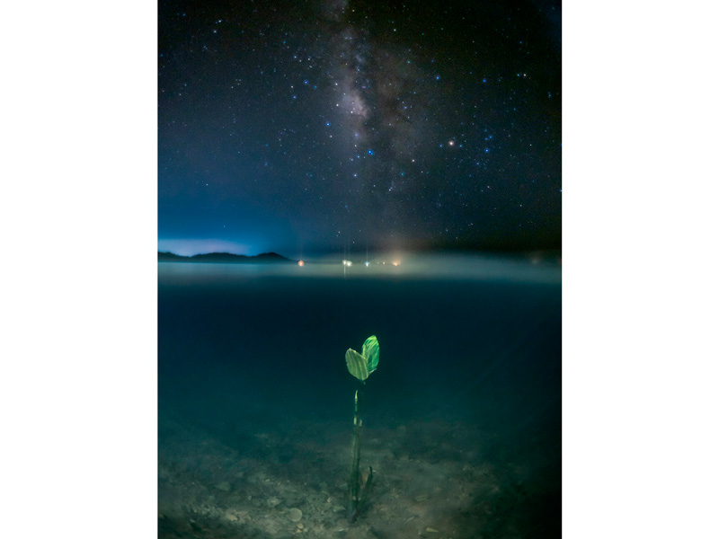 「日本の自然」コンテストで半水面写真家の三浦エリカさんが最優秀賞を受賞