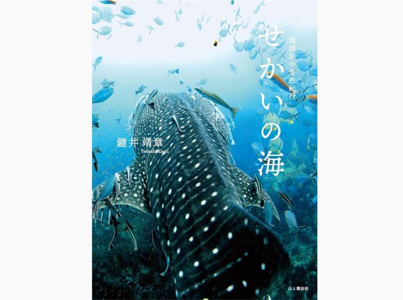 表紙は世界最大の魚類ジンベエザメ！　タオ島で撮影