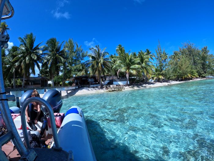 お世話になった《TOPDIVE Rangiroa》の桟橋からダイビングへ！　超絶美しいラグーンが目の前にあるんです