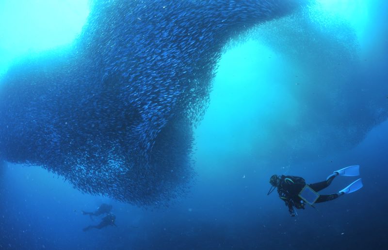 セブのモアルボアル、カバナフロント