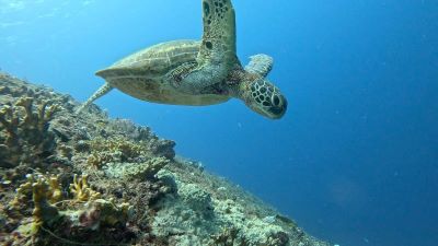 リョータさん「離陸」