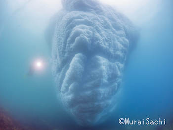 写真：むらいさち（南極ロケの撮りおろし、流氷）