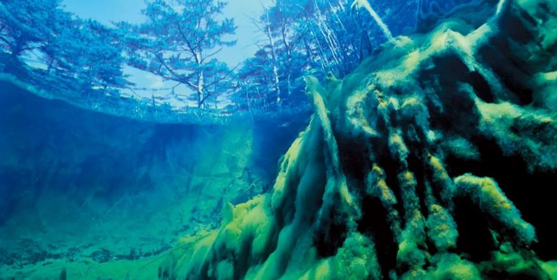 中村征夫さん写真展「五色沼湖沼群」が5月8日より東京にて開催