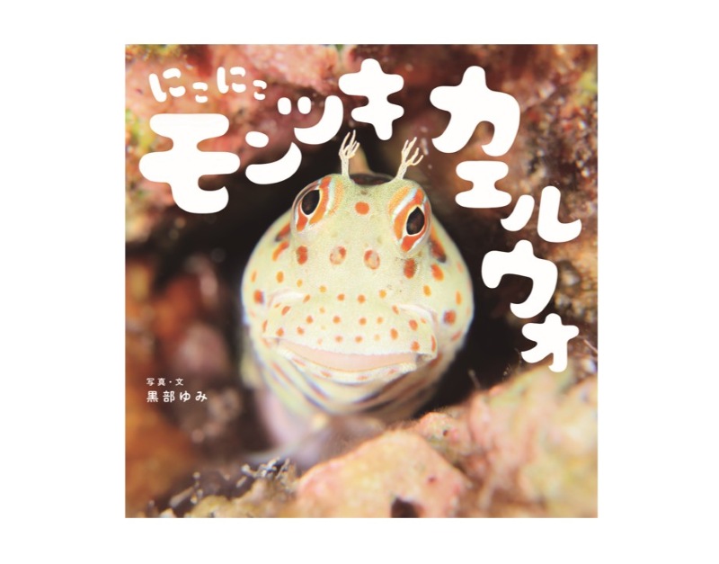 水中写真家・黒部ゆみさんの新刊写真絵本『にこにこモンツキカエルウオ』6月発売！