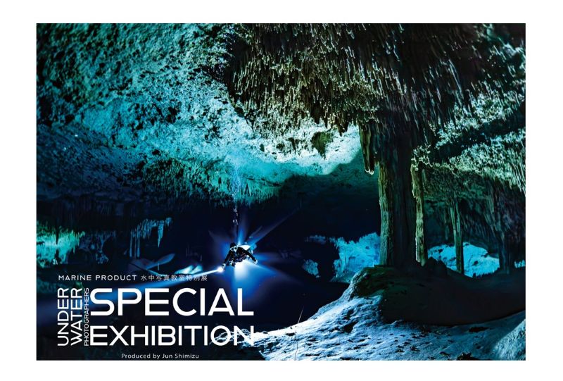 水中写真家・清水淳さんが企画と監修の写真展が開催！