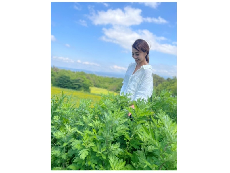 古来から日本人が愛好してきた「薬草のダイヤモンド」といわれる薬草「よもぎ」