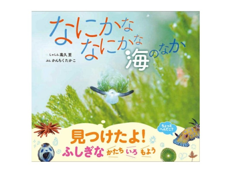 高久至さん、写真絵本『なにかな　なにかな　海のなか』出版
