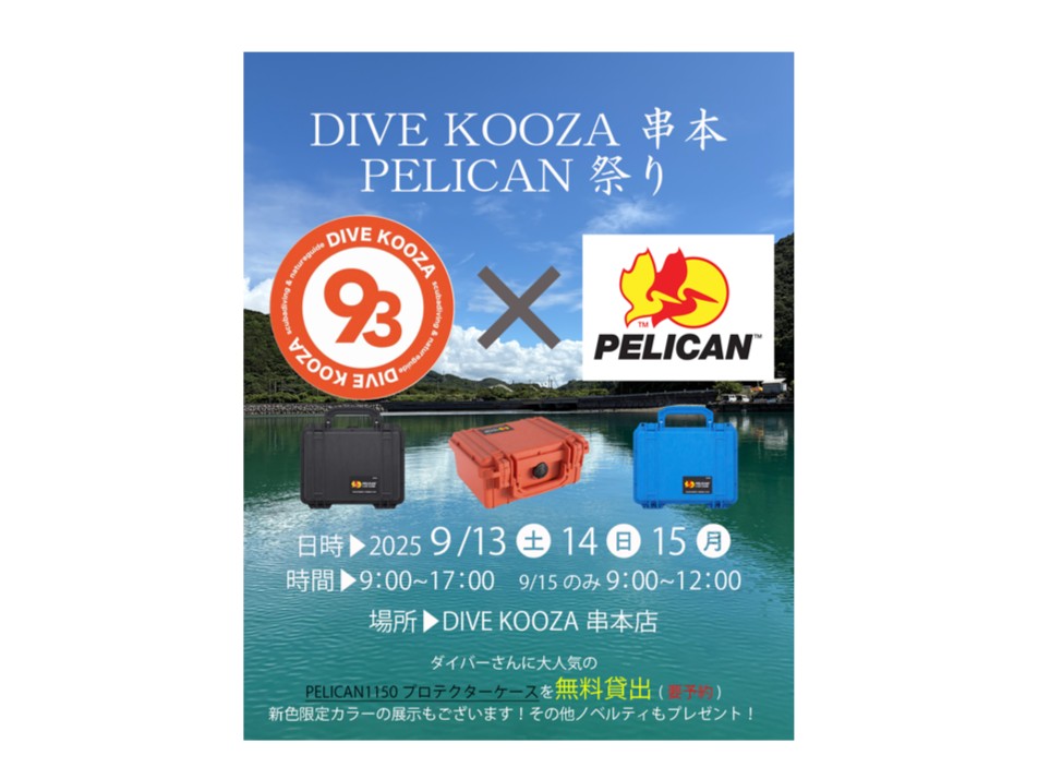 DIVE KOOZA 串本のPELICAN祭り9/13(土)～15(月・祝)開催！