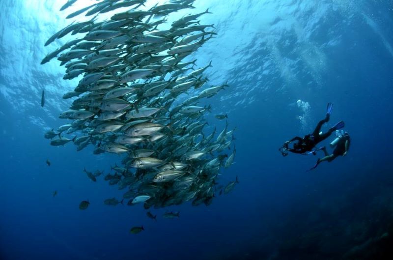 タイ湾南部にある絶海の孤島「ローシン」クルーズレポート