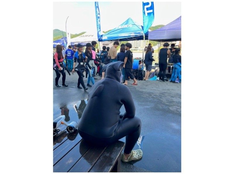 陸にハンマーヘッドがいました…