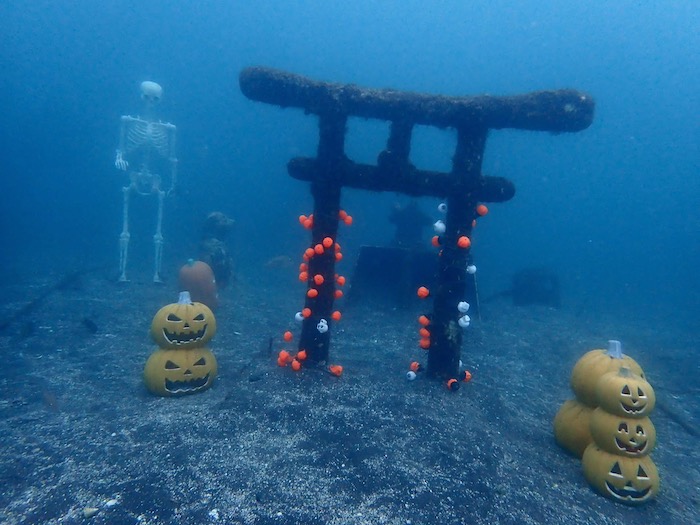 大瀬崎の海の中もハロウィン仕様に!