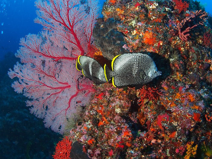 写真提供/山本貴嗣 (ブーメラン)