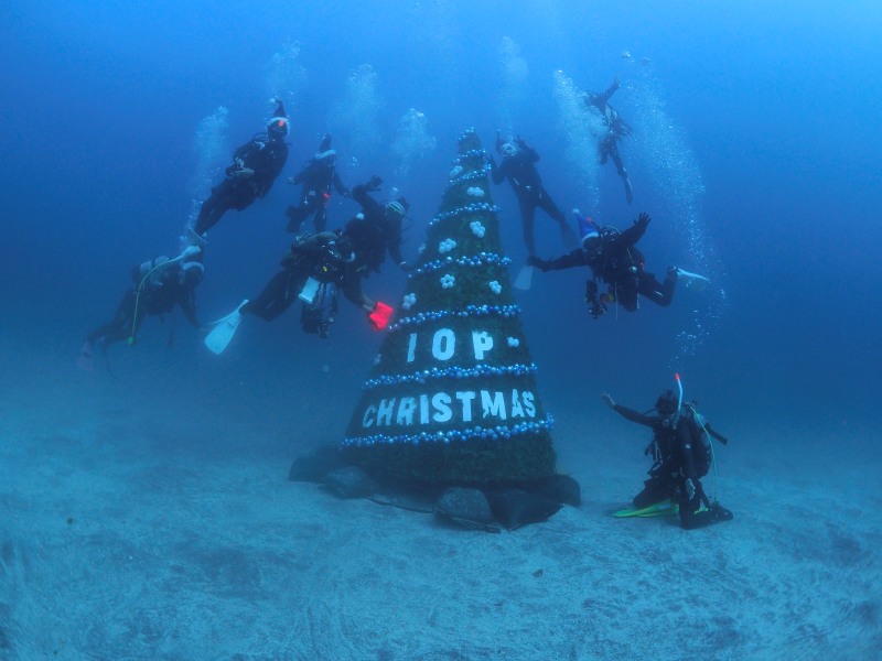 IOPにクリスマスがやってきた！ 日本一大きな海中クリスマスツリーを見に行こう！