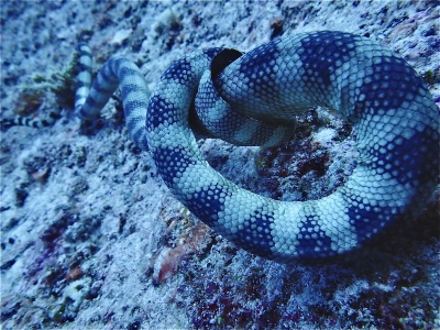 「固結び」　塚本 勇太さん