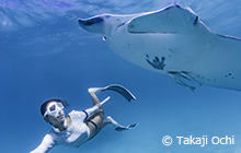 エア タヒチ ヌイでタヒチに行こう！ ティケハウでマンタとイルカ、タヒチ島でクジラに遭遇!!