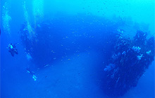 熱海の秋冬は沈船＆洞窟ダイビング！