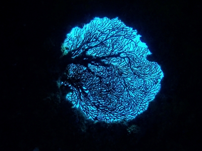 「遺された窓」　山本 悟さん