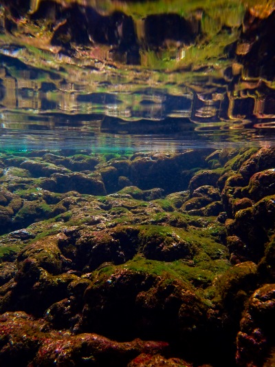 「パラレルワールドの入口」　野崎 文香さん