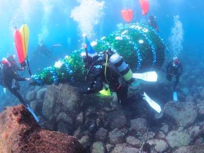 水中クリスマスツリー設置のようす