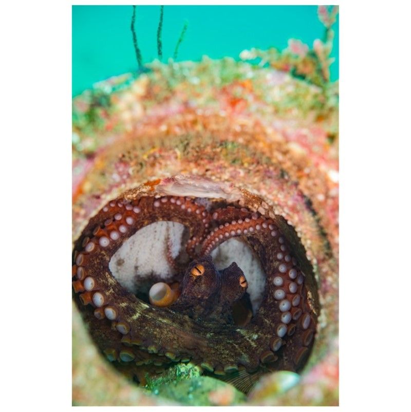 「I'm OK ♡」　渡辺裕子さん