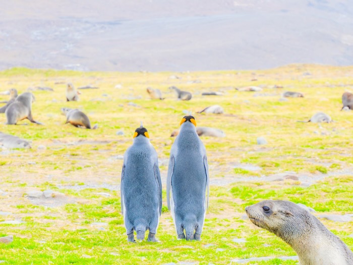 写真家 むらいさちさんが新宿で写真展を開催！ | Marine Diving web