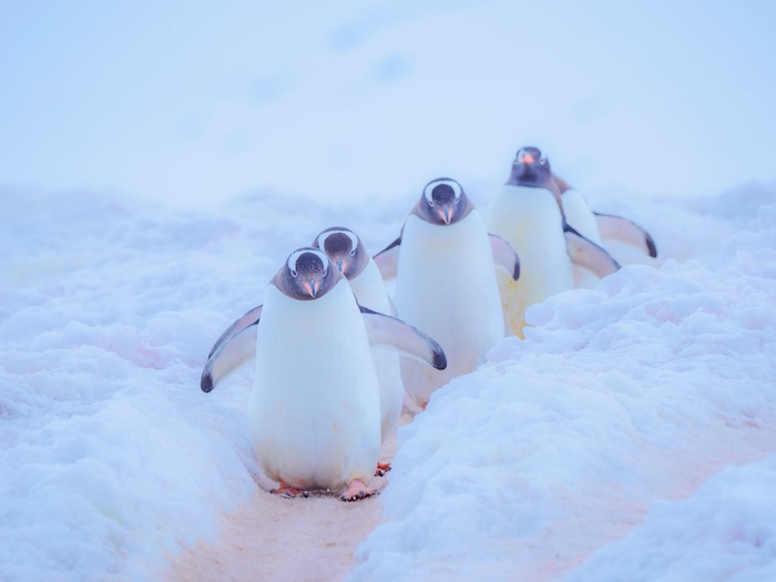 写真家 むらいさちさんが新宿で写真展を開催！