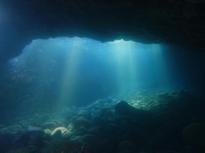 条件がそろえば行ける「富戸ホール」。ぜひリクエストしてみて！

