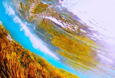 ●Go Diving賞
「自然撹拌」
白波瀬徹さん