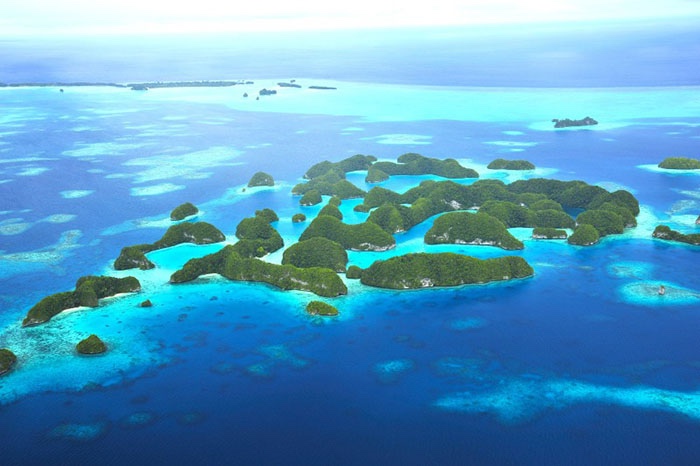 マリンダイビングフェア2026に「パラオ政府観光局」が出展