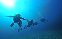 伊豆・富戸のスキューバプロショップならドライスーツレンタル無料！