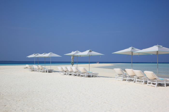 2025年も「マリンダイビングWEB」のご愛読ありがとうございました！