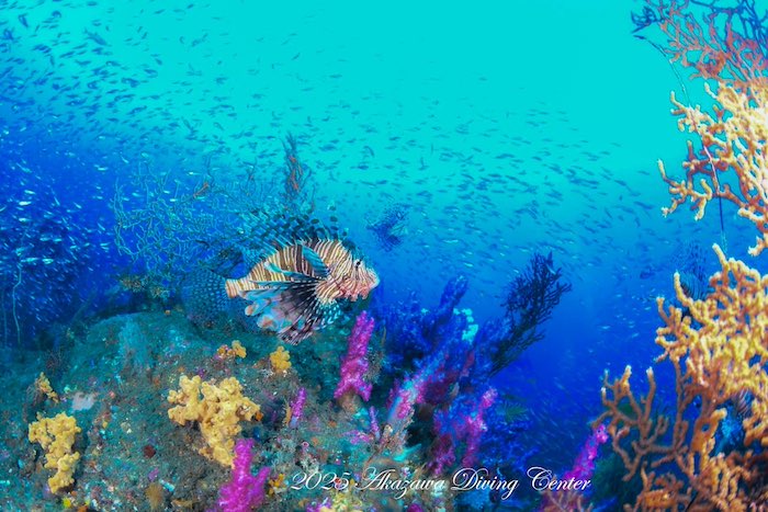 ワイドも絶好調！　冬の海の特権ですね

