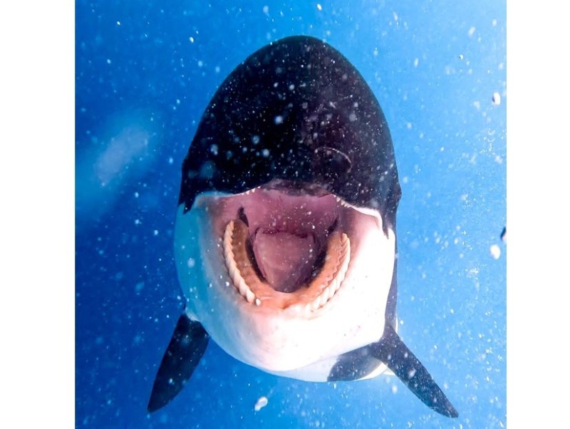 真智さんお気に入りの一枚