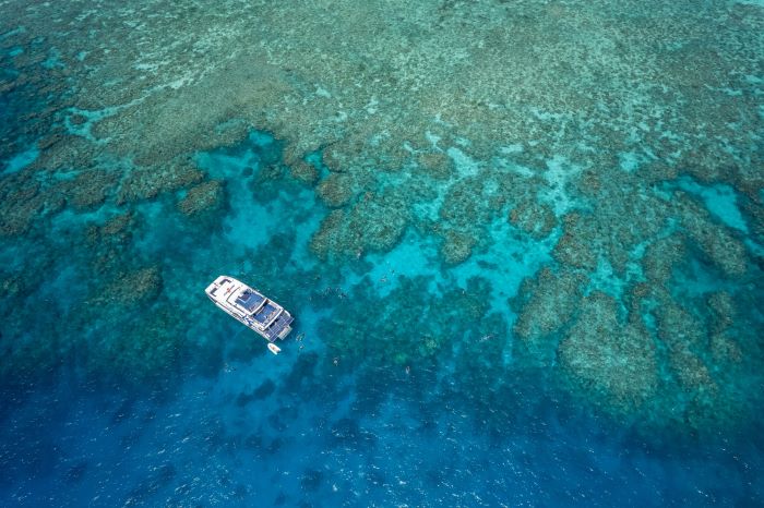 Photo by ケアンズ観光局

