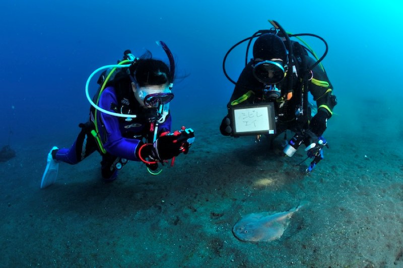 生物を見つける目と技、丁寧なガイドはまさに日本人ならでは！
Photo by Marine Photo Library