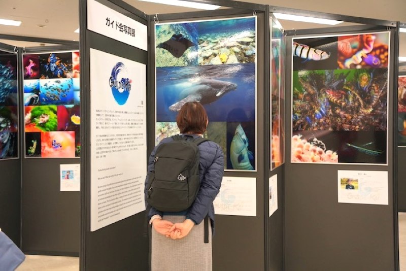 素敵な作品の数々に見惚れてしまいます

