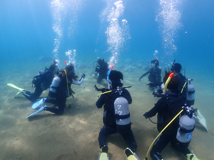 北海道函館市にて、潜水プール完備、レジャーから各種学校や団体等まで、広くダイバーの育成を担う仕事です。