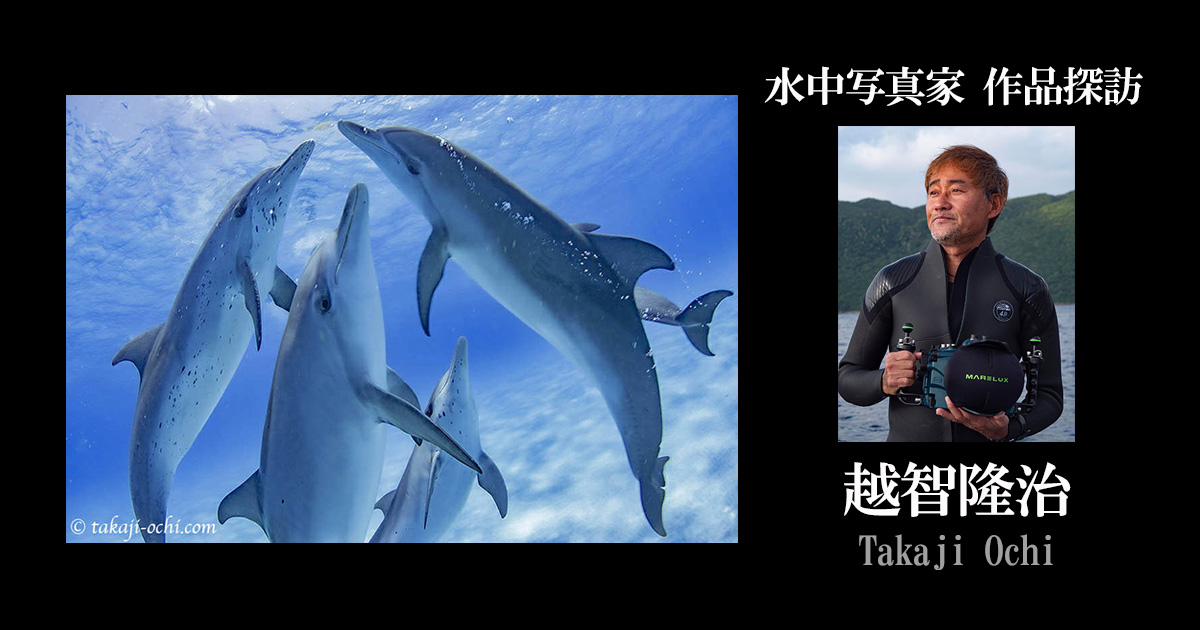 水中写真家作品探訪～越智隆治～