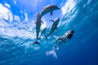 ステージではドルフィンスイムのコツを紹介！　Photo by JUN Hasegawa