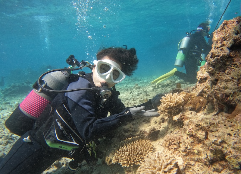 写真／チーム美らサンゴ