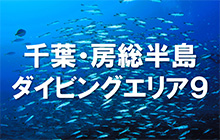 千葉・房総半島ダイビングエリア９～ゲストが推す理由＆ガイドいちおし水中シーン～