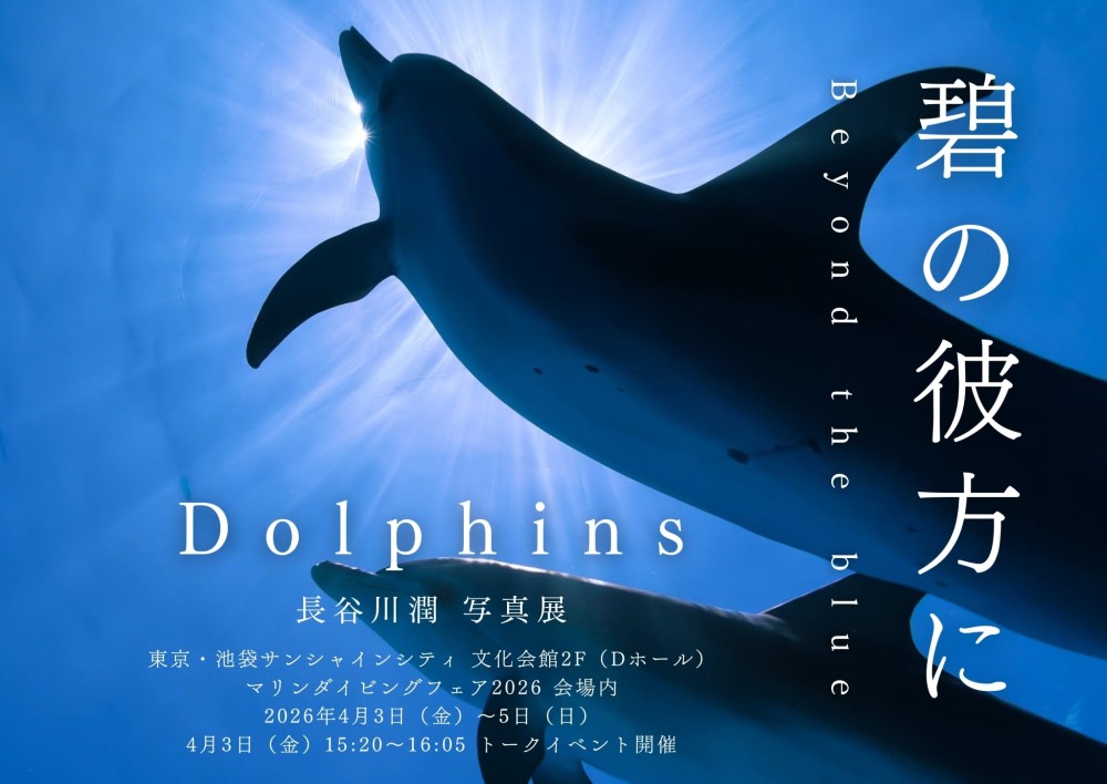 写真展のメインビジュアルは保存版『マリンダイビング2026』の表紙を撮影した数秒後に撮影された一枚