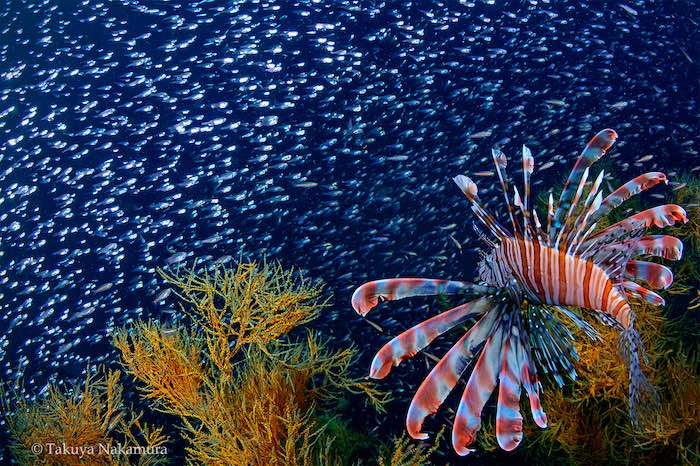 「バリカタ」な作風の中村卓哉さん撮影


