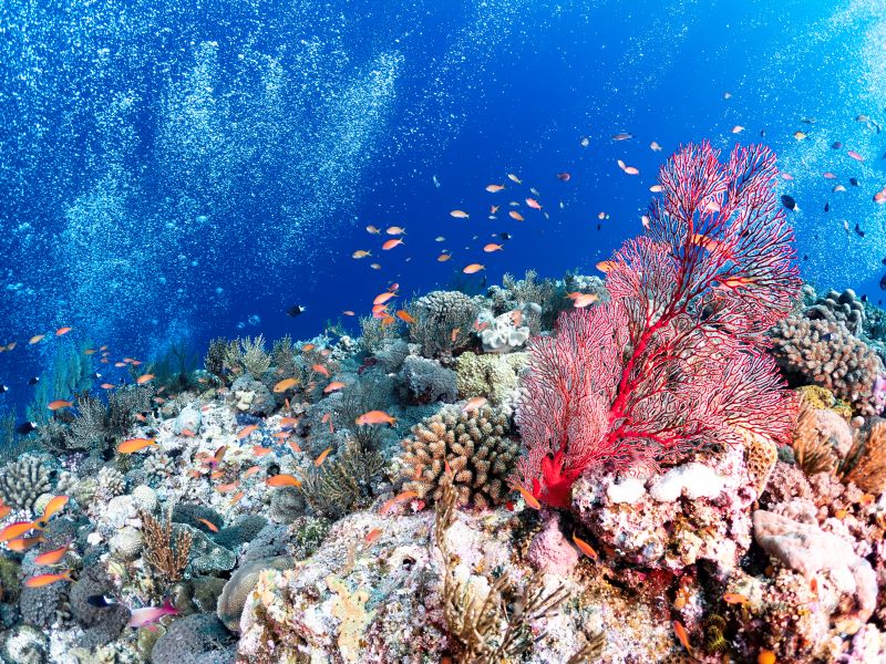 きれいな写真を撮影するコツは？　プロから話が聞ける貴重な場です