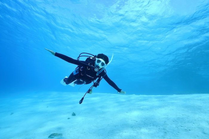 【連載】マリンダイビングのダイバー調査 第7回 Marine Diving Webで読みたい記事は？