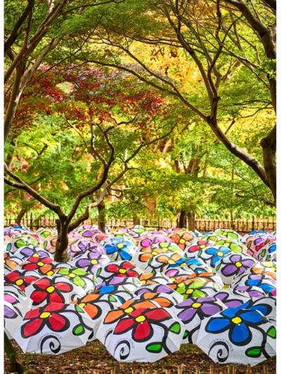 ミレイヒロキ氏のアイコン「花の傘」
(2019年 神代植物公園にて)

